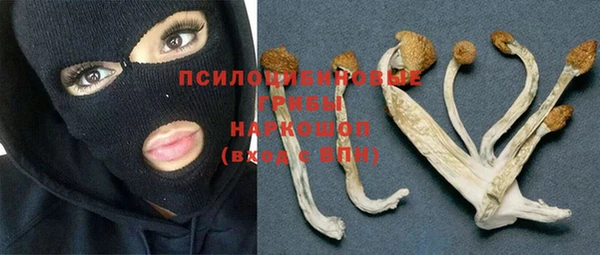 спайс Сосновка