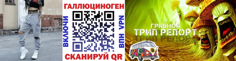 Псилоцибиновые грибы прущие грибы Дрезна